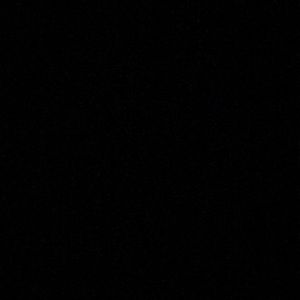 Meet your Posher, Niki